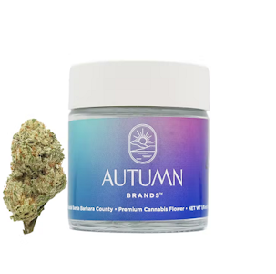 AUTUMN BRANDS - Autumn Brands 3.5g Purple Carbonite