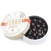 Terra Dark Chocolate Peppermint Pattie Bites