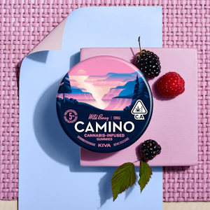 CAMINO - Camino | Wild Berry - Chill | Gummies | 200mg