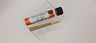 Dosi Pop - Cheef  - 1g Pre Roll