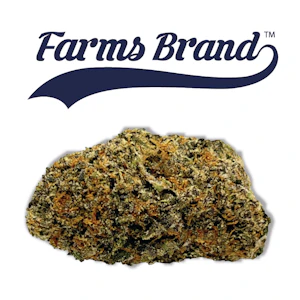 FARMS BRAND - Gelatti 3.5g Jar - Farms Brand 