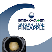[REC] Breakwater | Sugarloaf Pineapple | Live Hash Rosin | 0.5g Concentrate