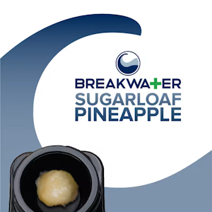 Breakwater - [REC] Breakwater | Sugarloaf Pineapple | Live Hash Rosin | 1g Concentrate
