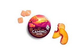 Camino - Orchard Peach Sours CBD Gummies 1:1 100mg