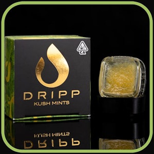 Dripp Extracts - Kush Mints Live Sugar - 1g
