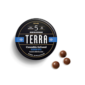 Kiva | Terra Bites (20ct) | Milk Chocolate Blueberry   | 100mg