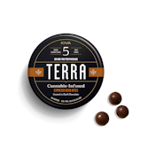 Kiva | Terra Bites (20ct) | Dark Chocolate Espresso | 100mg