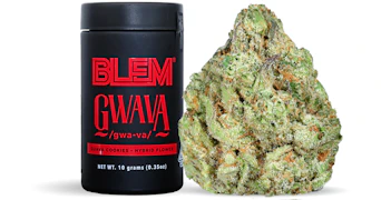 Blem - Gwava - 10g