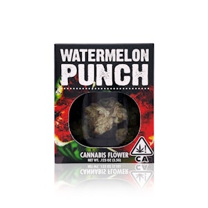 DECIBEL GARDENS - DECIBEL GARDENS - Flower - Watermelon Punch - 3.5G