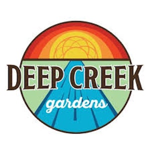 Deep Creek Gardens LLC - Deep Creek Gardens Huckleberry Web 2:1 CBD 0.7g Pre-Roll