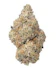 Product Preview Image 1