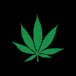 Honey Dog Heaven - Ice Cream Cake | Flower | 28g | Honey Dog Heaven