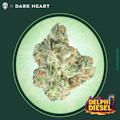 Grassroots | Delphi Diesel | 3.5g