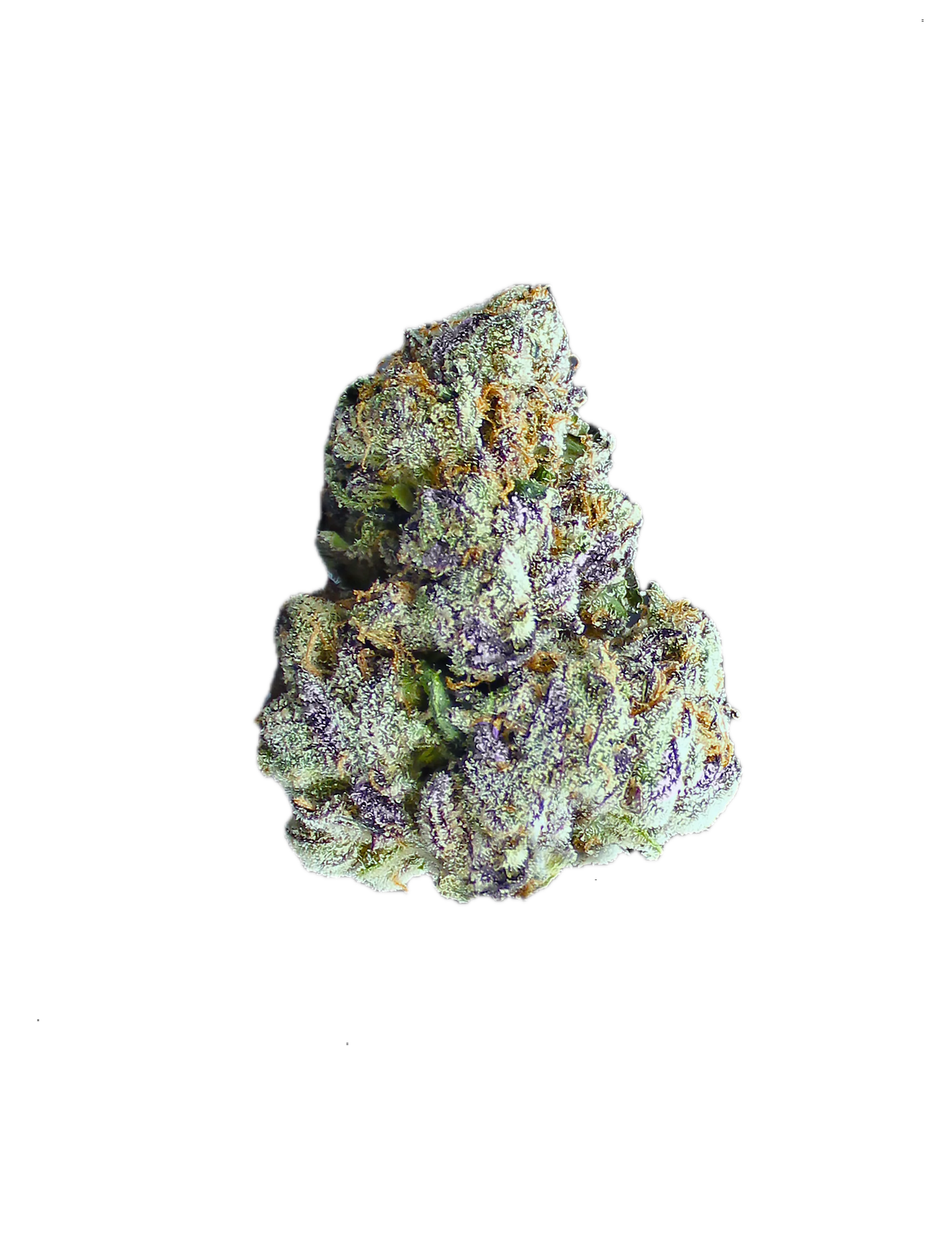 Delighted | Traffic Stopper | 7g