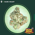 Grassroots | Delphi Diesel | 14g