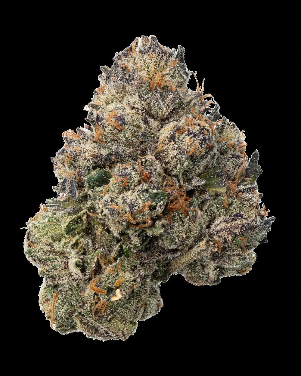Fresh - Detroit Runtz Buds 3.5g Main Image
