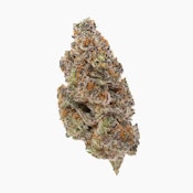 305 Farms | Devil Driver 14G