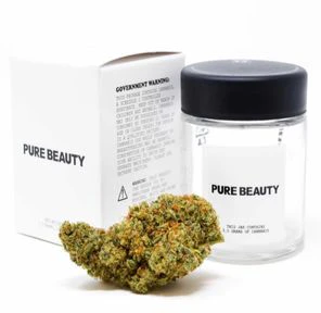 Pure Beauty - [Pure Beauty] CBD Flower - 3.5g - 2:1 Terry T X Gelato 33 Main Image