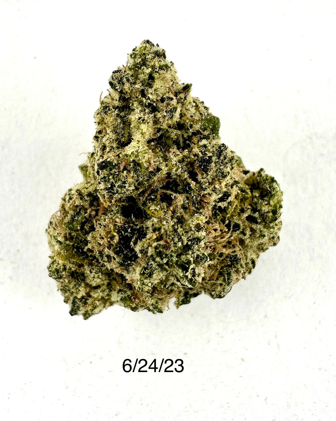 PROHIBITION 37 - P37 - OG Zest Main Image