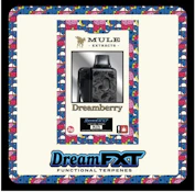 Dreamberry FXT Disposable 2g