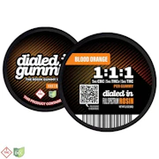 Dialed In - Gummies - Focus - Blood Orange - 1:1:1