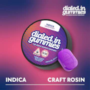 Dialed In - Gummies - Grape Punch Indica - 100mg
