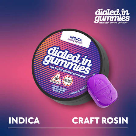 FOREST ST MANUFACTURING LLC - Dialed In - Gummies - Grape Punch Indica - 100mg Main Image
