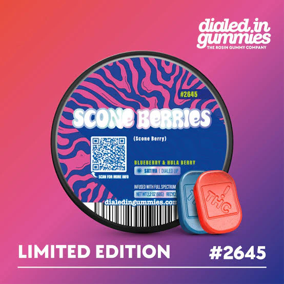 FOREST ST MANUFACTURING LLC - Dialed In - Gummies - Scone Berries - 100mg Main Image