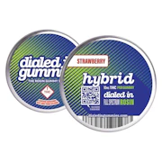 Dialed In - Gummies - Strawberry Hybrid - 100mg