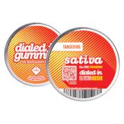 Dialed In - Gummies - Tangerine Sativa - 100mg