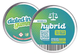 Dialed In - Gummies - Watermelon - 100mg