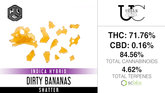 WHITE LABEL EXTRACTS - Dirty Bananas, Shatter