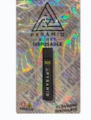 Burst | Disposable | 1g | Wild Melon