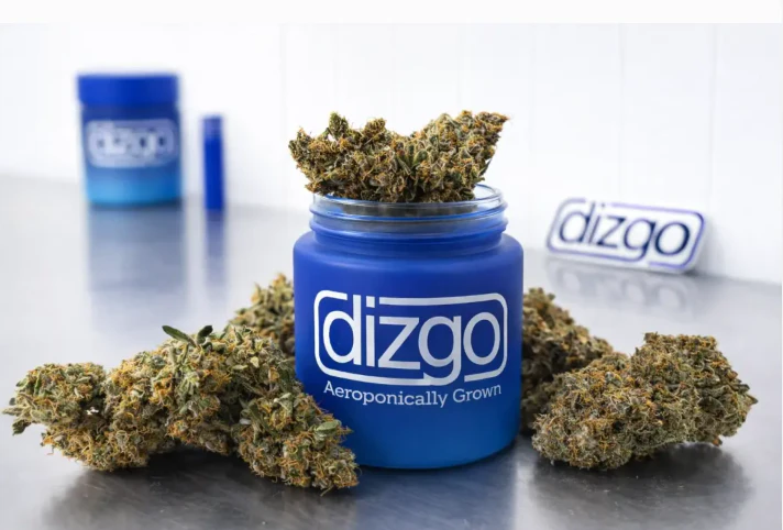 Dizgo - Top Gun- .33g -3ct- Pre-Roll-Dizgo Main Image