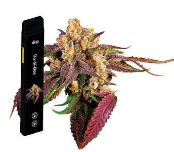 DRIP - Drip - Do-Si-Dos Big Ripper AIO - 2g