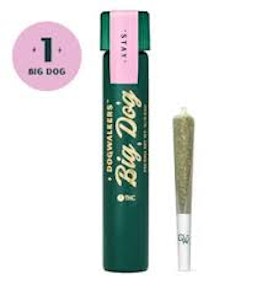 Dogwalkers - Cereal Milk Single