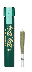 DOGWALKERS - Xeno Big Dog Preroll - 0.75g