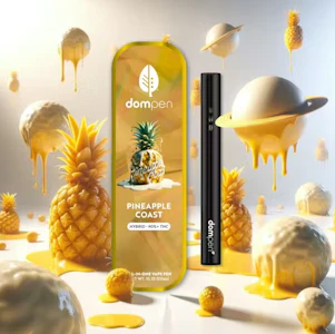 dompen - dompen | Pineapple Coast | All-In-One Vape | 1g