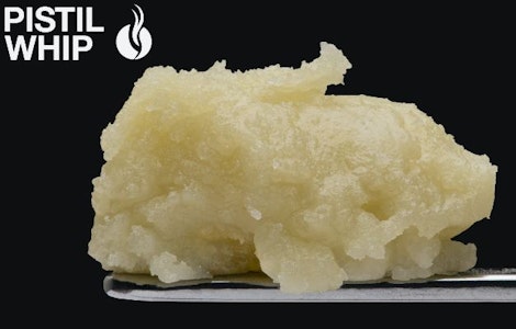PISTIL WHIP - DONNY BURGER 1G - PISTIL WHIP