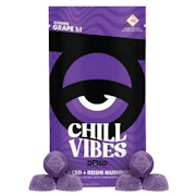 DOSD - Gummies - Chill Vibes - Grape - 1:1
