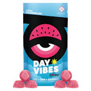 DOSD - Gummies - Day Vibes - Watermelon - 1:1