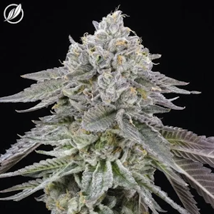 CT Pharma - Dosilato Flower I 25193