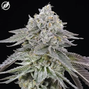 Dosilato Flower I 26453