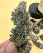 Bass River Buds | Double Dipper | 3.5g | Flower 