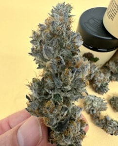 Bass River Buds - Flower | Bass River Buds | Double Dipper | 3.5g