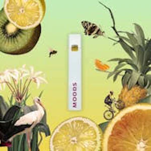 Moods - Moods - Everglade Haze Dash - 0.5g AIO