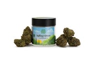 Rolling Green - Gelato Sherbet - 3.5g