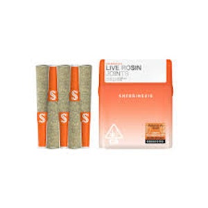 Sherbinski's - [Sherbinskis] Infused Preroll 5 Pack - 2.5g - Blue Zone (I)