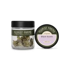 Florist Farms - Florist Farms - Black Scotti - 3.5g Main Image