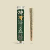 [Cannabiotix] Preroll - .75G - Jet Lag OG (I)